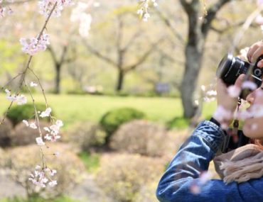 چند توصیه برای محافظت از موها در بهار و تابستان