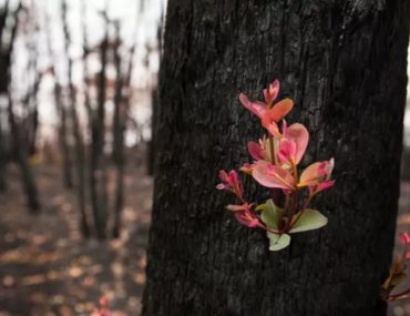 وقتی با اخبار بد بمباران می‌شویم چطور سلامت روان خود را حفظ کنیم