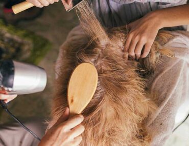 چه دلایلی موجب خشک و وز شدن موها می‌شود؟