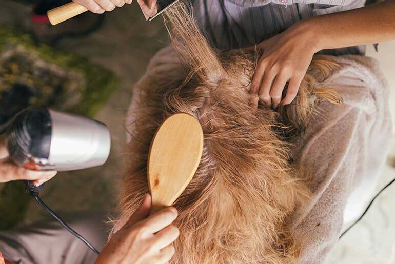 چه دلایلی موجب خشک و وز شدن موها می‌شود؟